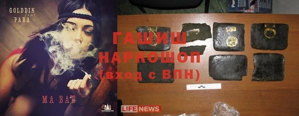 ГАЛЛЮЦИНОГЕННЫЕ ГРИБЫ Аркадак