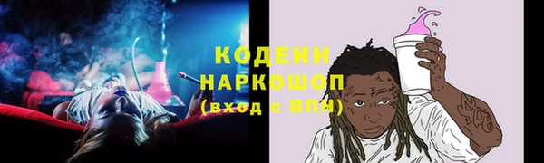 прущий лед Арсеньев